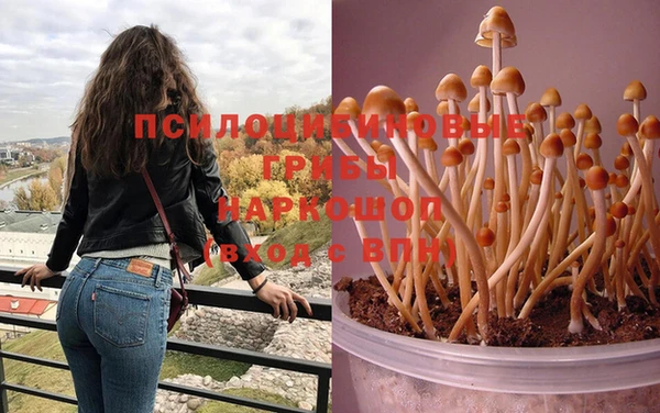 мяу мяу мука Баксан