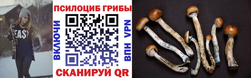 Галлюциногенные грибы MAGIC MUSHROOMS  купить  цена  Семилуки 